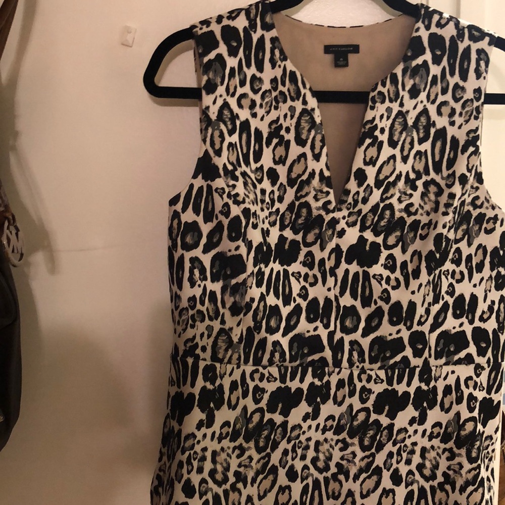 Ann Taylor Sleeveless animal print sexy top!